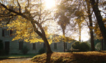 façade ouest à l'automne