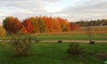 chênaie au levant d'automne